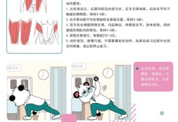 直播健身技巧解析与健身主播话术研究论文摘要