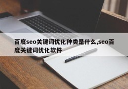 百度seo关键词优化种类是什么,seo百度关键词优化软件