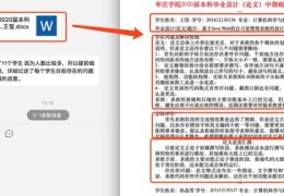 直播技巧论文,直播行业论文