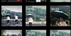 抖音拍摄教程落叶怎么拍