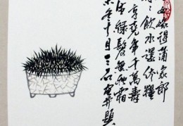 字画直播开场话术技巧,字画直播开场话术技巧有哪些