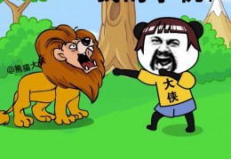 在野外遇到狮子怎么办拍摄教程 VS 三脚架的拍摄教程怎么用