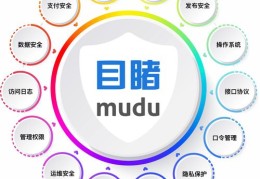 企业直播认证技巧详解，关键步骤与要点解析