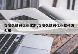 百度关键词优化定制,百度关键词优化软件怎么样