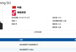 男子单板障碍技巧决赛直播,单板障碍追逐比赛