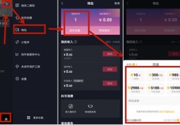抖音充值抖币攻略，如何上热门及优化充值方式？