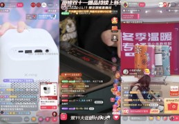 直播数据优化技巧，提升直播效果的数据操作指南