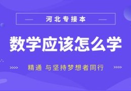 义乌直播技巧数学与直播培训实战指南