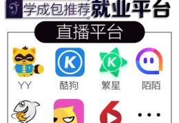 声乐技巧和发声直播,声乐技巧和发声直播哪个好