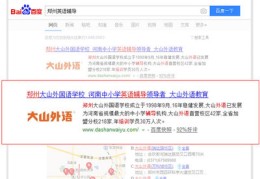 沧州百度seo关键词优化,沧县seo公司