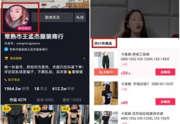 直播带货与直播技巧详解，计划书PPT及实操指南