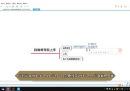 抖音新手发作品上热门技巧揭秘，如何巧妙发布内容轻松上热门？