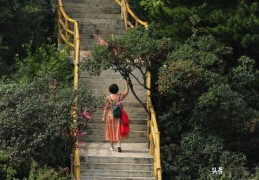 短视频拍摄风景教学,拍风景短视频赚钱吗