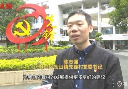 福建公共频道直播技巧与节目回看全攻略