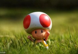 忠魁互联百度关键词优化,忠魁营销产业研究院