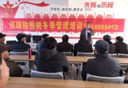 直播带货技巧幽默,直播带货怎么说