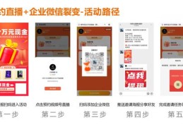 网上直播选号秘籍与抖音直播选号攻略