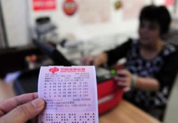 车辆直播选号技巧,汽车选号视频播放