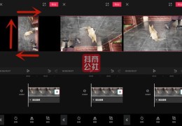 抖音如何免费上热门呢-抖音如何免费上热门呢知乎