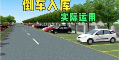 新手倒车入库技巧详解，直播回放与视频讲解专辑