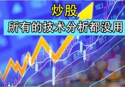 炒股技巧直播间,炒股技巧直播间视频