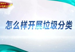 生活中如何成为热门焦点，秘诀大揭秘