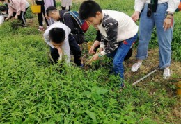 乡村生活直播拍摄技巧,乡村直播生活下载