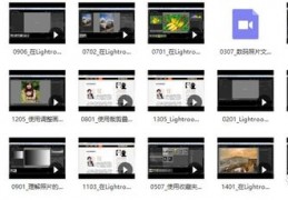 怎么拍摄八分钟视频教程 VS 狮头鹅菜品怎么拍摄的视频教程