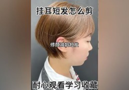 短视频发型教程，男士发型设计与拍摄技巧教学视频