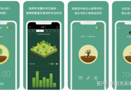 东方卫视直播技巧app,东方卫视的直播