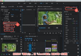 怎么拍摄出货视频教程图片