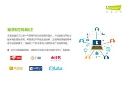 网络营销的概述,网络营销概述导入