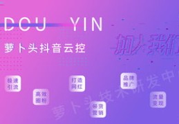 自媒体策略揭秘，如何吸引粉丝上热门并稳固留住用户？