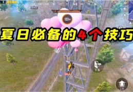 直播许愿玩法技巧大全,直播许愿玩法技巧大全视频