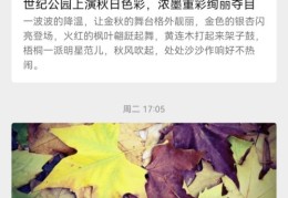 神马搜索用的人多吗,神马搜索的优势