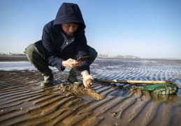 赶海直播标题技巧,赶海直播标题技巧和方法