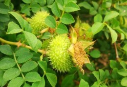 贵州直播带货技巧,贵州直播带货公司