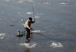 钓鱼直播打野技巧,直播钓鱼套路