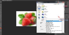 如何导入照片至热门软件，实用教程