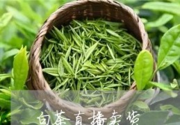 卖白茶类直播带货话术技巧,直播卖茶的话术