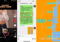 揭秘热门套路，如何轻松吸引关注，成为热门焦点？