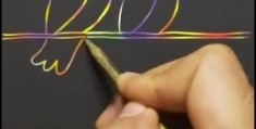 一个人做抖音拍摄教程怎么做 VS 佳能5d3怎么拍延时拍摄视频教程