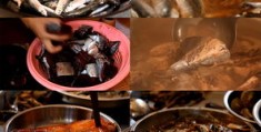 烹饪鱼怎么拍摄视频教程