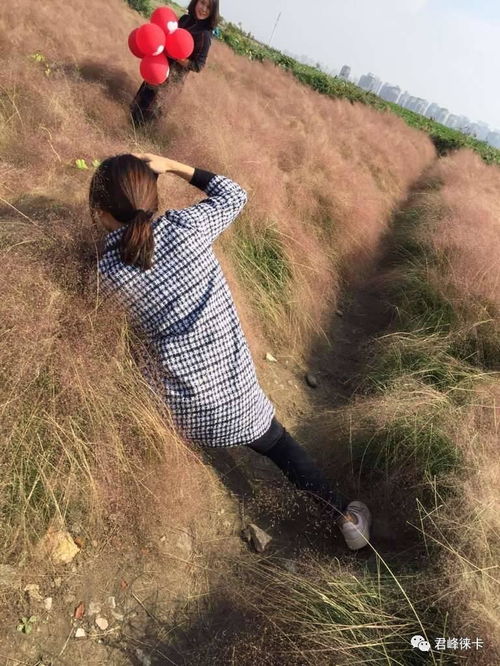 远镜拍摄教程自己一个人怎么拍
