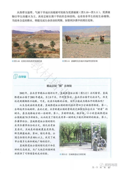 光遇两人对话拍摄教程怎么做