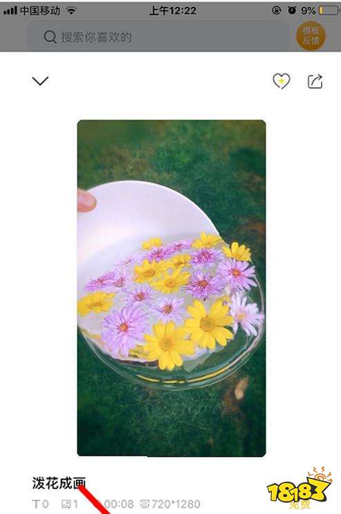 一片花怎么拍摄的视频教程 一片花怎么拍摄的视频教程