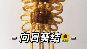 一片花怎么拍摄的视频教程 一片花怎么拍摄的视频教程