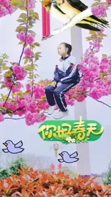 一片花怎么拍摄视频教程 一片花怎么拍摄视频教程