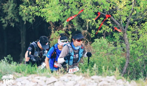 对口型拍摄杆怎么用视频教程 对口型拍摄杆怎么用视频教程