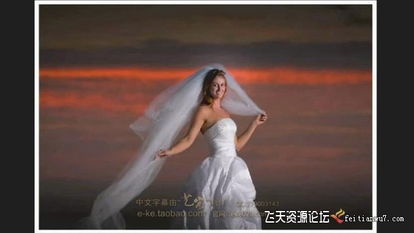 拍摄主婚怎么拍视频教程
